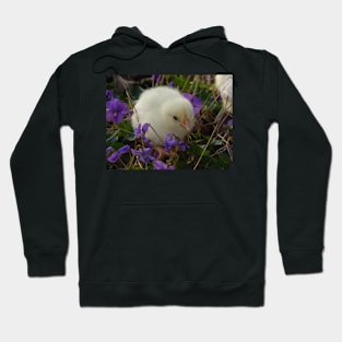 Violet Chick Hoodie